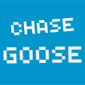 Chase Goose