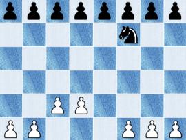 Ziccidus Chess