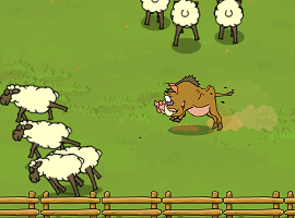 Kaban sheep