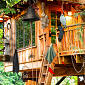 Silence of the Tree House
